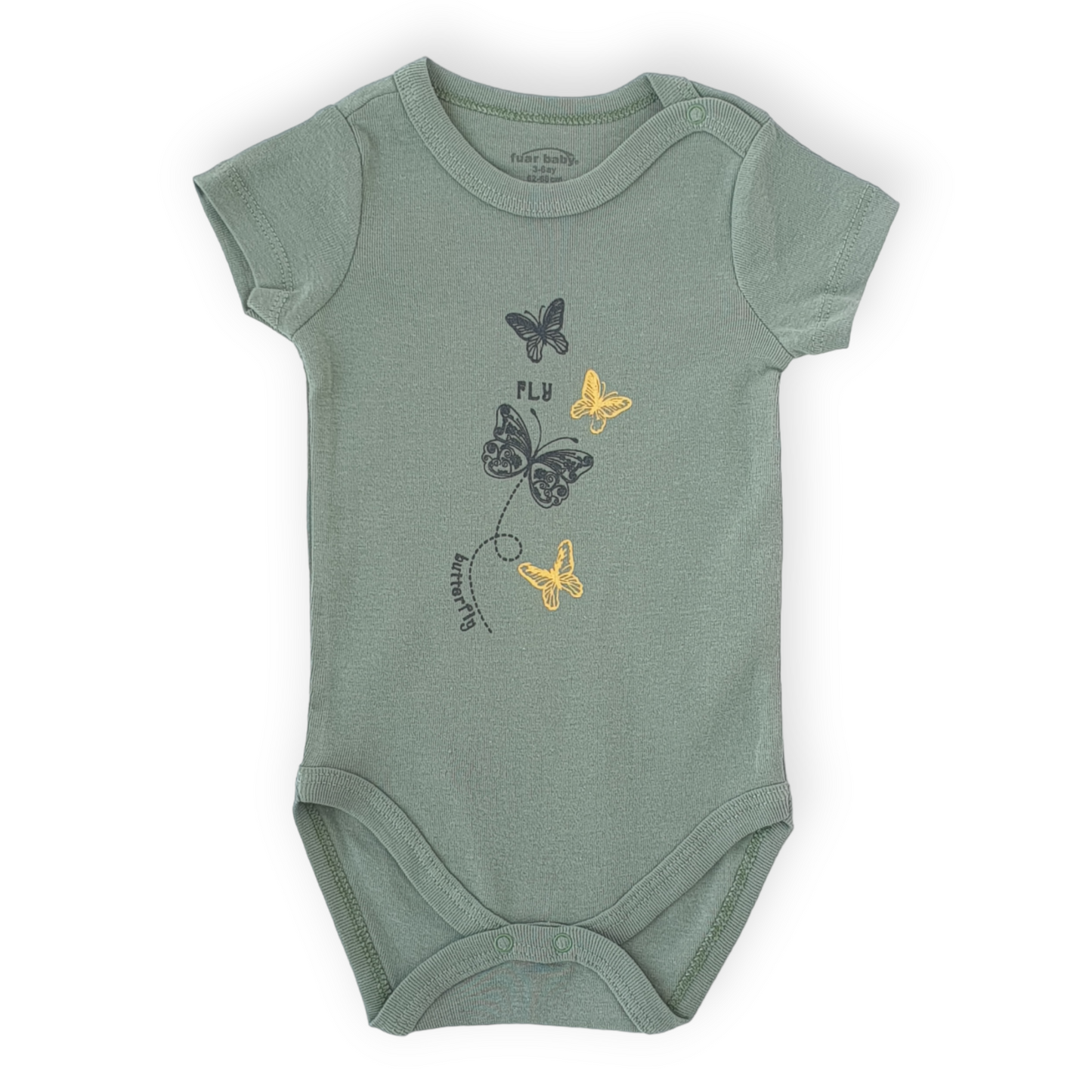 Fly Butterfly Olive Green Body