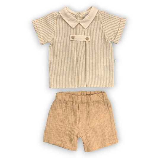 Brown Set with Standing Collar 