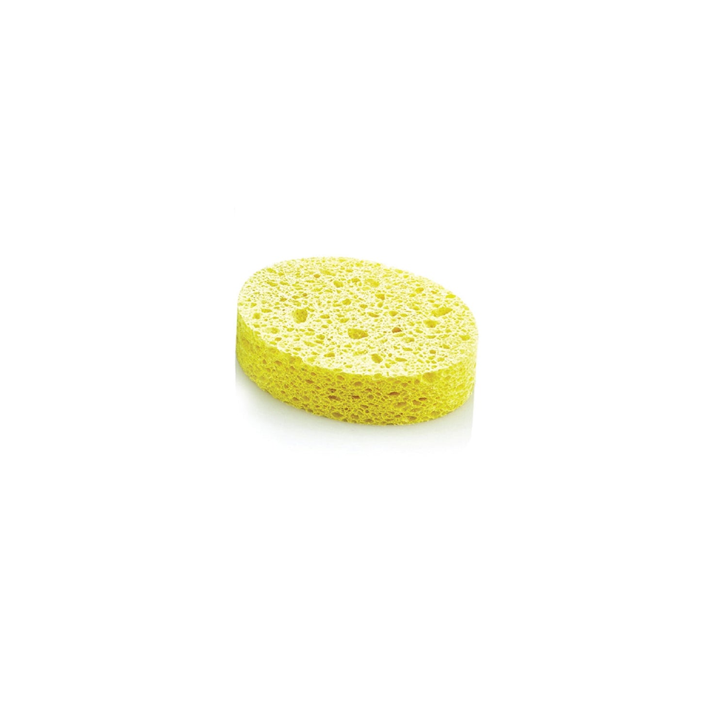 Natural Bath Sponge