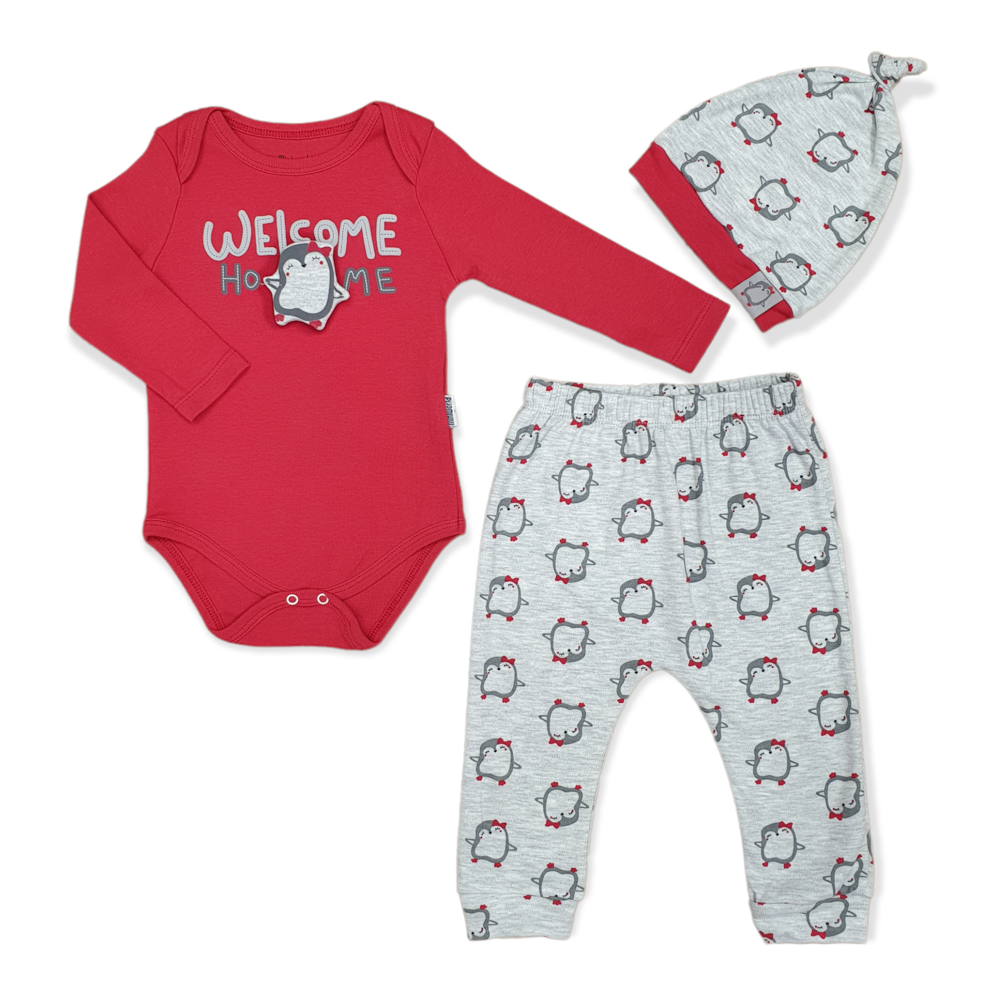 Miniworld - Long Sleeve Welcome Home Baby Girl Body with Pants and Cap