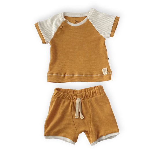 Mustard Yellow Top and Shorts Set-Boy, Catboy, Catgirl, Catset2pcs, Girl, Mustard, Set, Short sleeve, Shorts, SS23, Top, Unisex, Yellow-Divonette-[Too Twee]-[Tootwee]-[baby]-[newborn]-[clothes]-[essentials]-[toys]-[Lebanon]